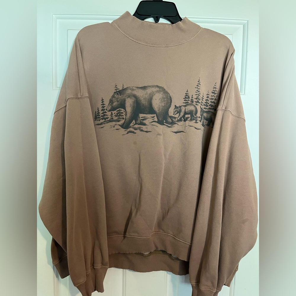 American Eagle Outfitters Brown Turtleneck Sweater